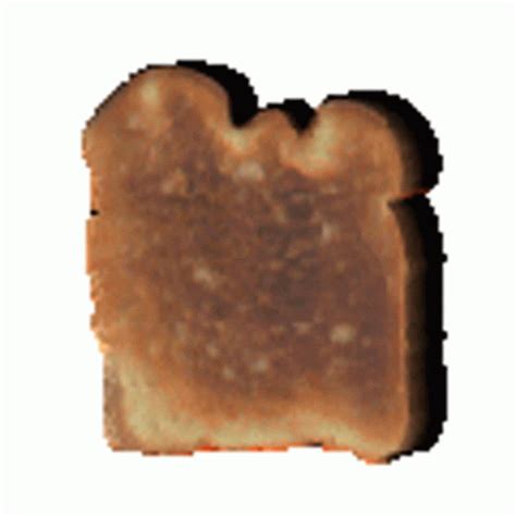 toast gif|7+ Free Toasts & Toast animated GIFs and Stickers